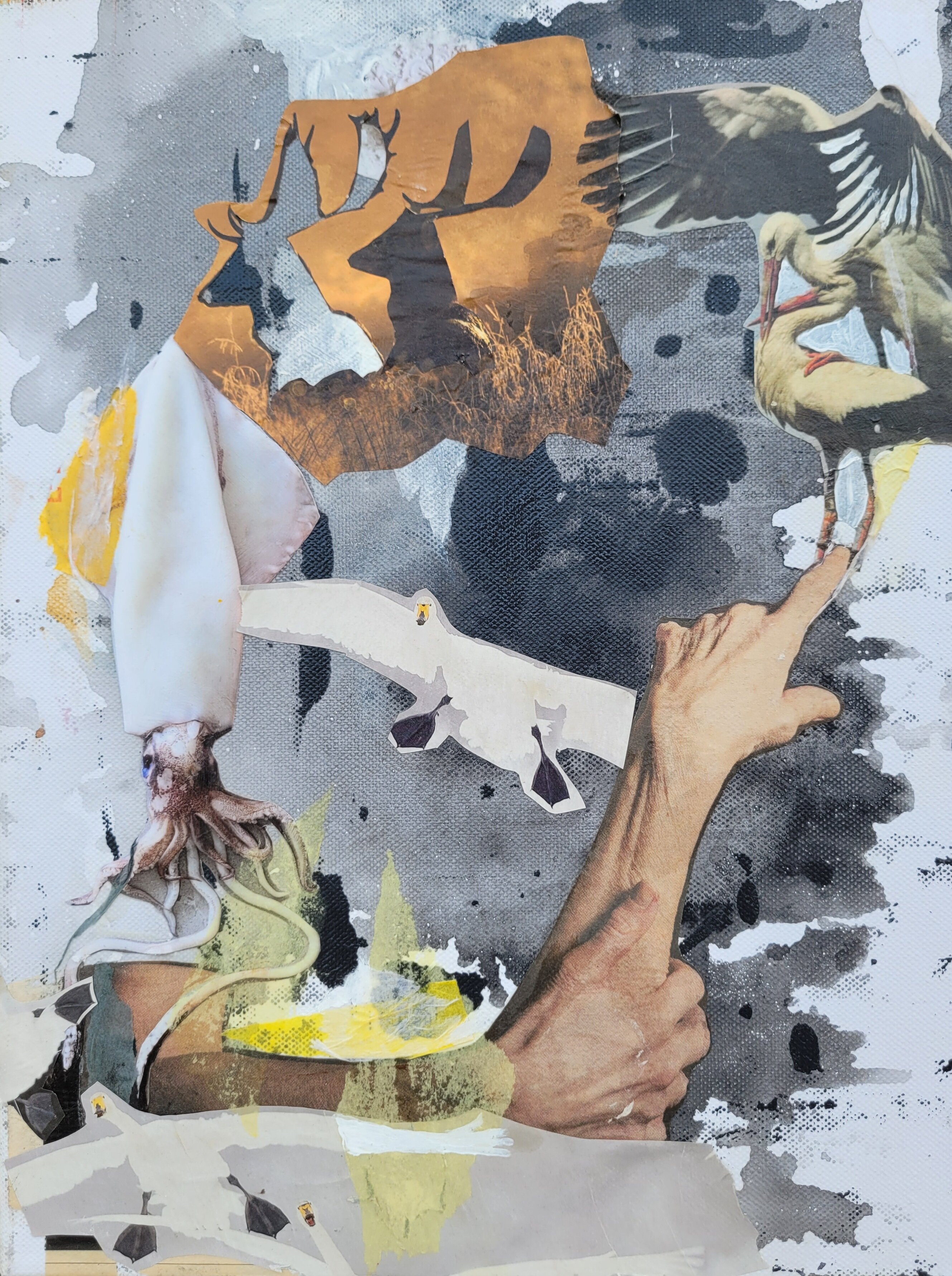 Animal circle. Collage on canvas 40x30 cm.