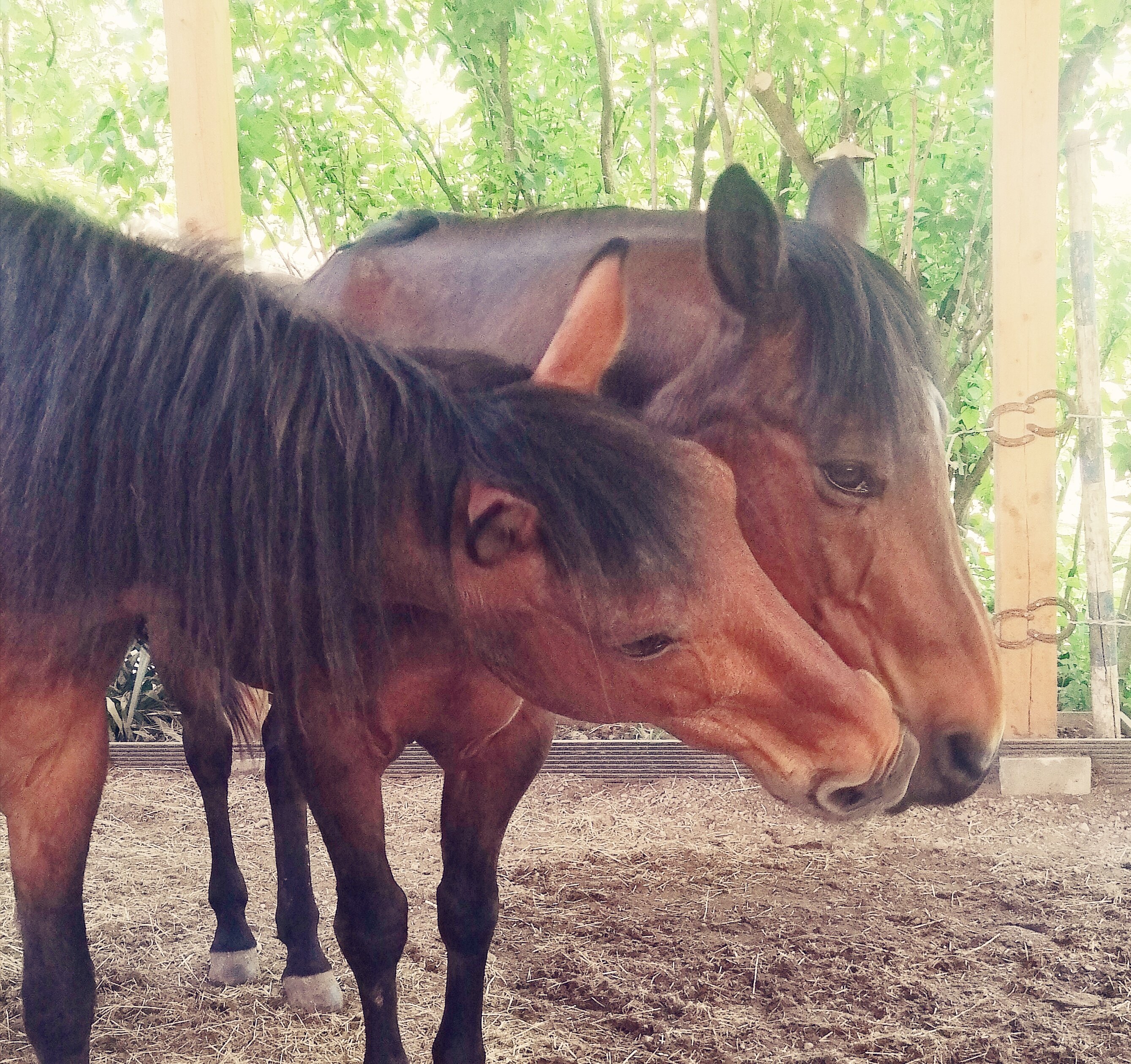 Inspiration und GuteLaune Assistenten