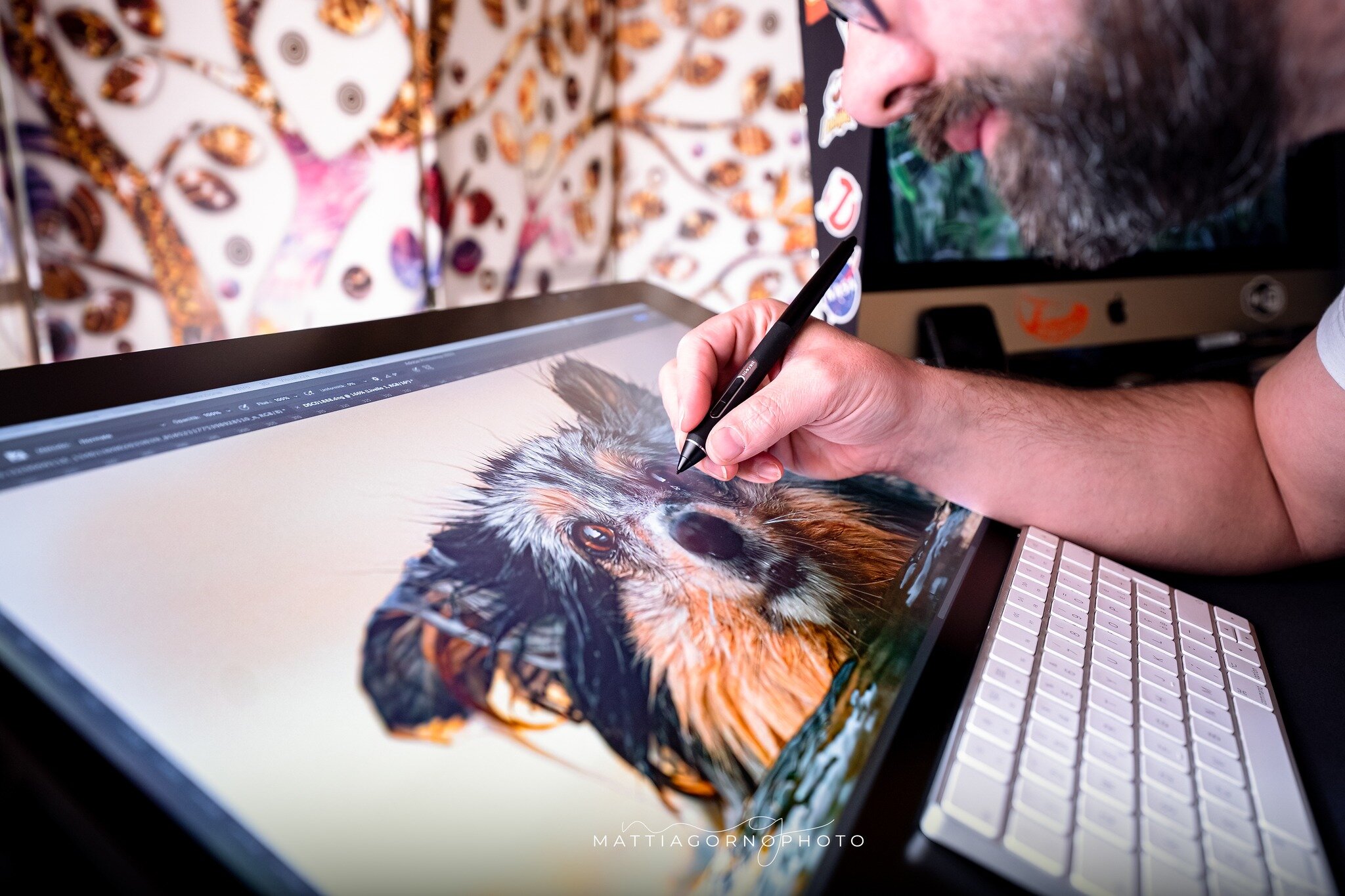 Dog Photography Creative Lab